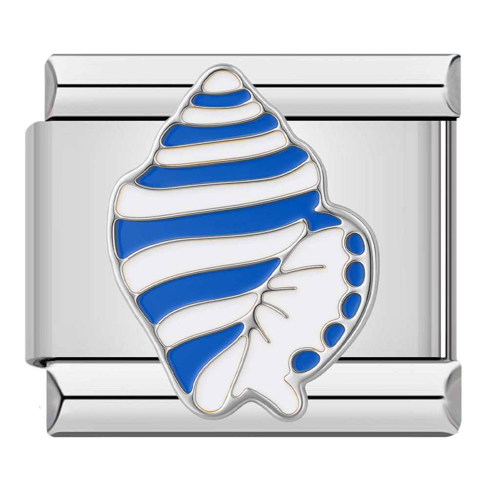 Blue seashell