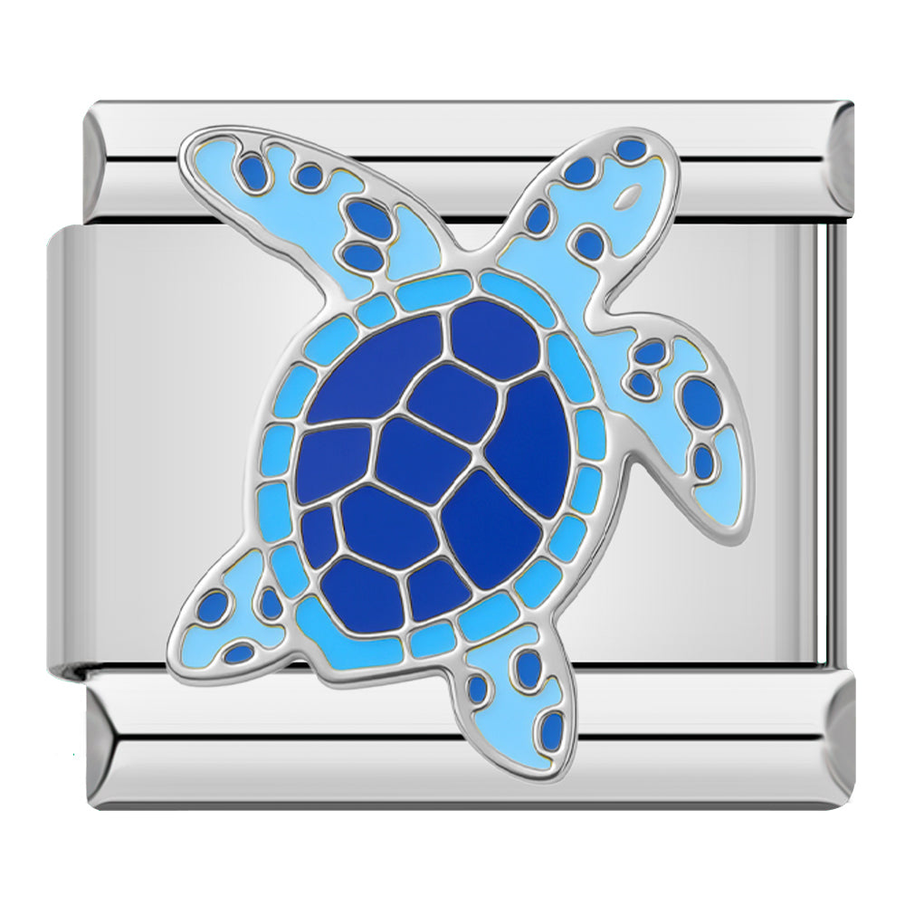Blue seashell
