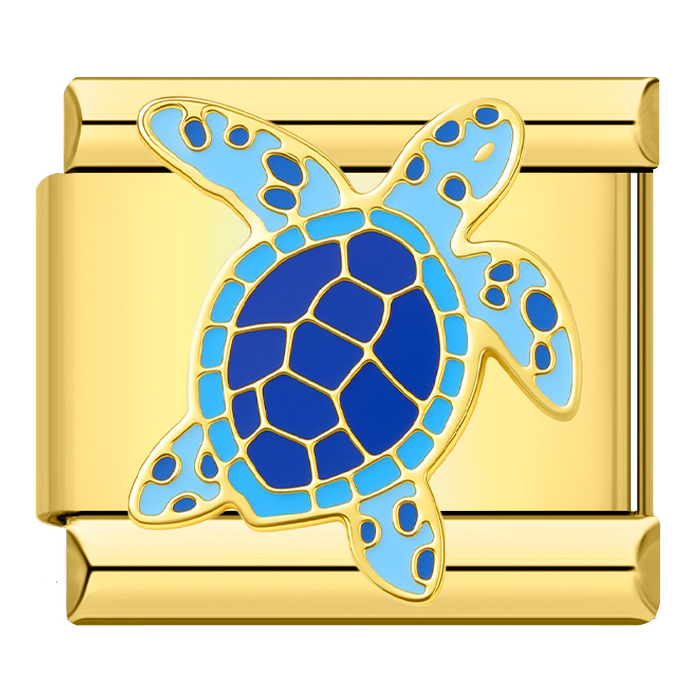 Blue seashell