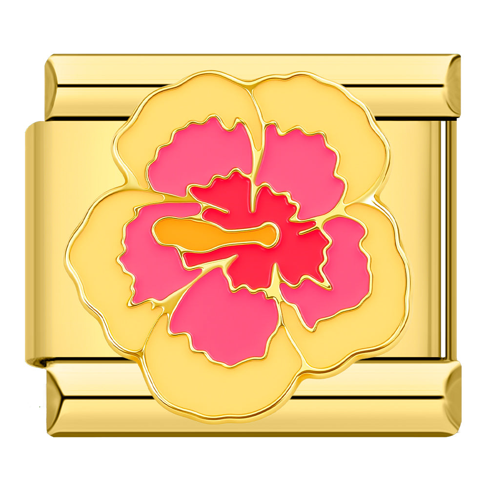 Hawaii Blume