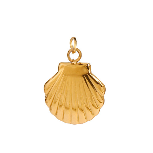 Muschelwertzujkjhgfd